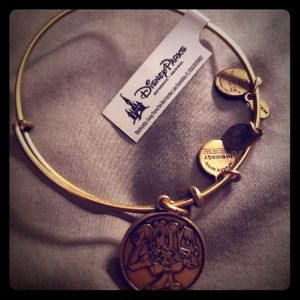 Alex &Ani bracelet